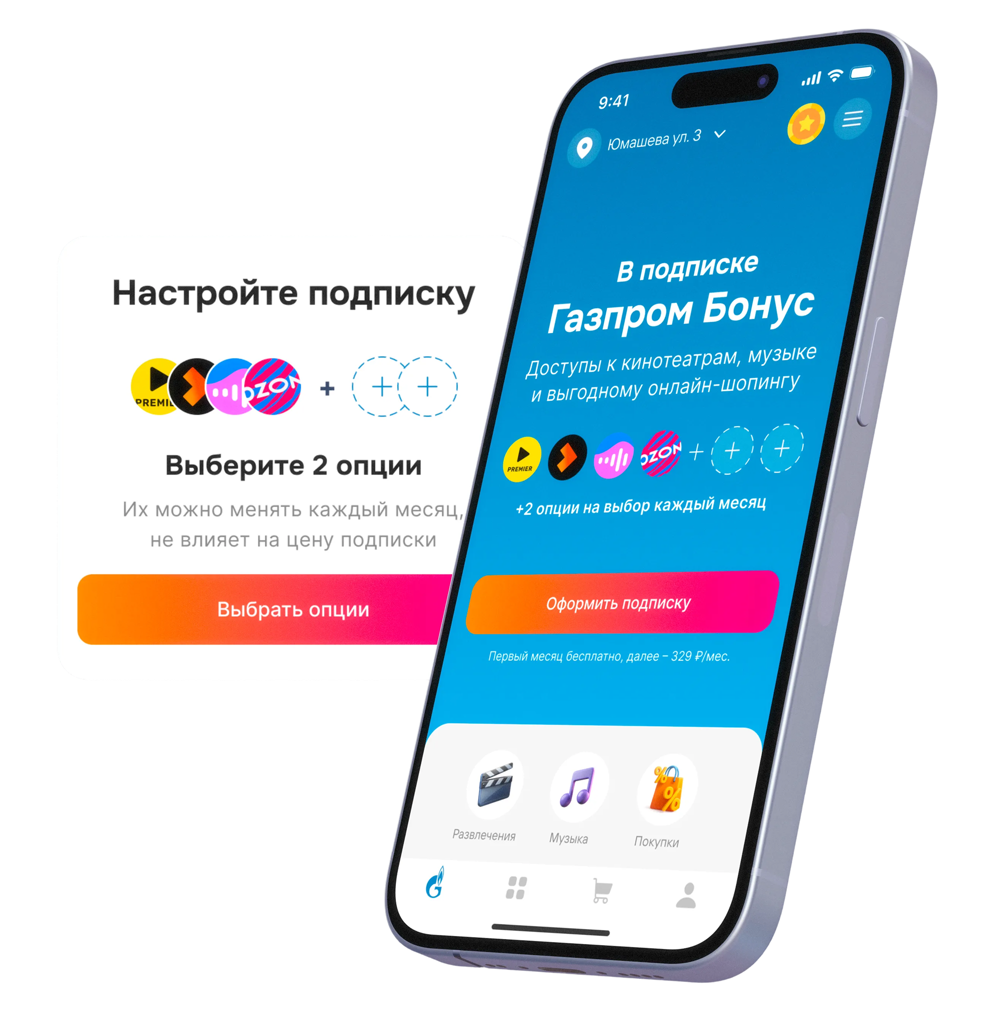 Custom subscription project screenshot